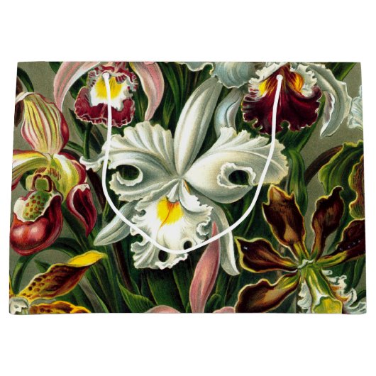 Ernst Haeckel's Orchidaceae Large Gift Bag Große Geschenktüte (Vorderseite)