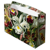 Ernst Haeckel's Orchidaceae Large Gift Bag Große Geschenktüte (Rückseite Schrägansicht)