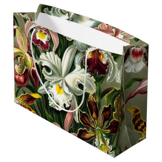 Ernst Haeckel's Orchidaceae Large Gift Bag Große Geschenktüte (Rückseite Schrägansicht)