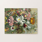 Ernst Haeckel's Orchidaceae Orchids Jigsaw Puzzle (Horizontal)