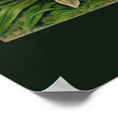 Ernst Haeckel's Orchidaceae Poster (Ecke)