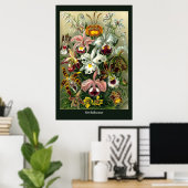 Ernst Haeckel's Orchidaceae Poster (Heimbüro)