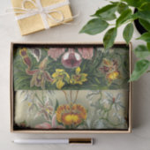 Ernst Haeckel's Orchidaceae Tissue Paper Seidenpapier (Geschenk)