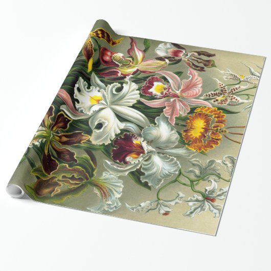 Ernst Haeckel's Orchidaceae Wrapping Paper Geschenkpapier (Ungerollt)