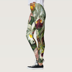 Ernst Haeckels Orchideen-Leggings Leggings