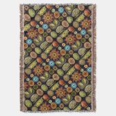 Ernst Haeckels ozeanische Wunder Decke (Vorderseite Vertikal)