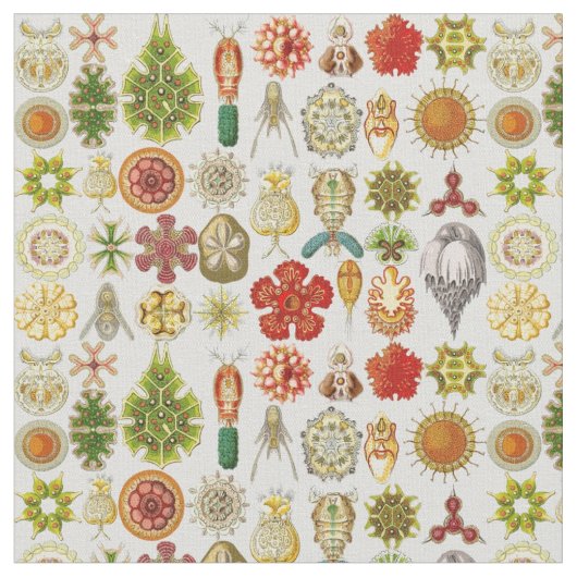 Ernst Haeckels ozeanische Wunder Stoff (Nahaufnahme)