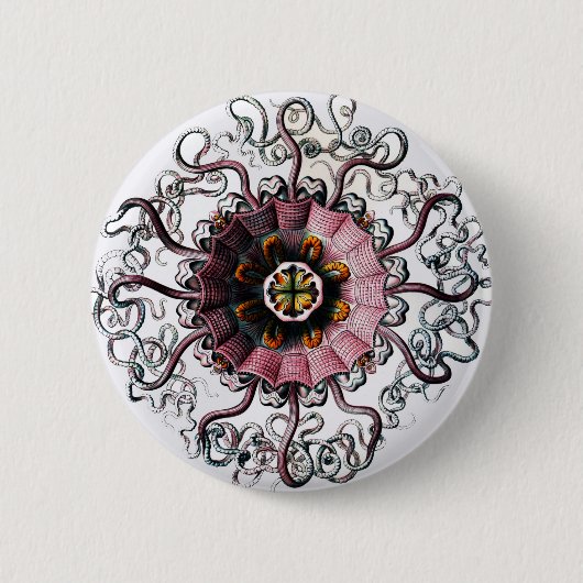 Ernst Haeckels Peromedusae Button (Vorderseite)