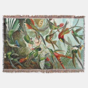 Ernst Haeckels Prachtkolibris Decke