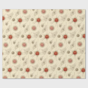 Ernst Haeckels Radiolarian Geschenkpapier