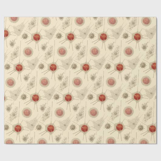 Ernst Haeckels Radiolarian Geschenkpapier (Flach)