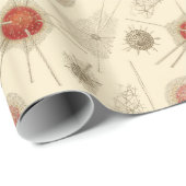 Ernst Haeckels Radiolarian Geschenkpapier (Rolleneckpunkt)