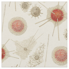 Ernst Haeckels Radiolarian Stoff