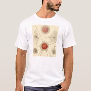 Ernst Haeckels Radiolarian T-Shirt