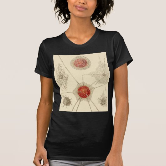 Ernst Haeckels Radiolarian T-Shirt (Vorderseite)