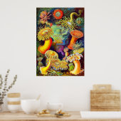 Ernst Haeckel's Sea Anemones Poster (Küche)