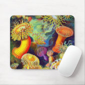 Ernst Haeckels Seeanemonen Mousepad (Mit Mouse)