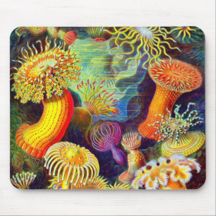 Ernst Haeckels Seeanemonen Mousepad