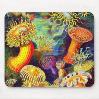 Ernst Haeckels Seeanemonen Mousepad