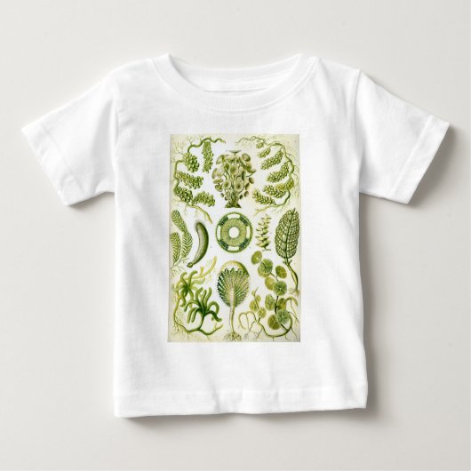 Ernst Haeckels Siphoneae Meerespflanze und Algen Baby T-shirt (Vorderseite)