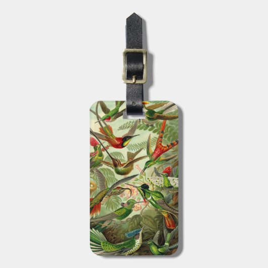 Ernst Haeckeltrochilidae-Kolibri Gepäckanhänger (Vorderseite vertikal)