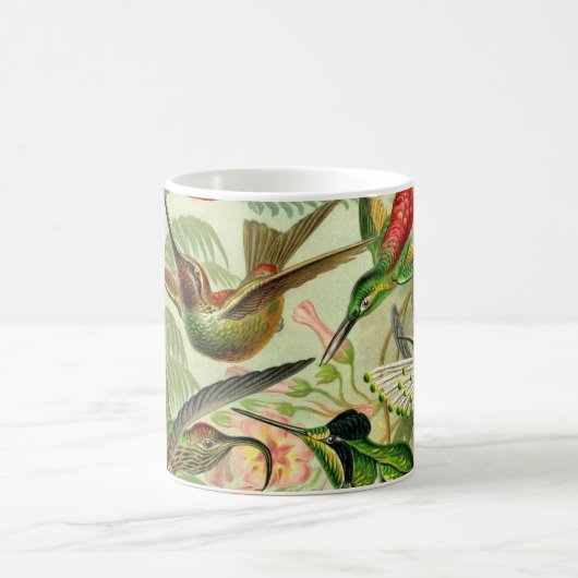 Ernst Haeckeltrochilidae-Kolibri Kaffeetasse (Mittel)