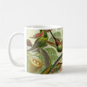 Ernst Haeckeltrochilidae-Kolibri Kaffeetasse (Links)