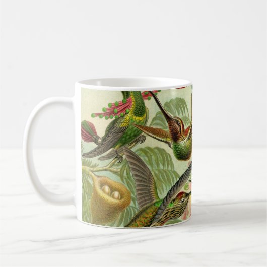 Ernst Haeckeltrochilidae-Kolibri Kaffeetasse (Links)