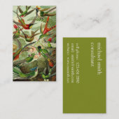 Ernst Haeckeltrochilidae-Kolibri Visitenkarte (Vorne/Hinten)