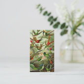 Ernst Haeckeltrochilidae-Kolibri Visitenkarte (Stehend Vorderseite)