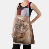 ernst schürze (InSitu)