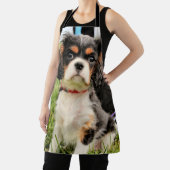 ernst schürze (InSitu)