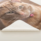 ernst sherpadecke (3/4)