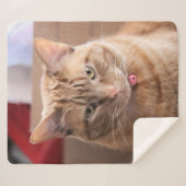 ernst sherpadecke (Vorderseite (Horizontal))