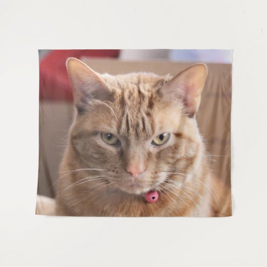 ernst wandteppich (Vorderseite (Horizontal))