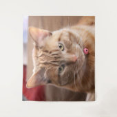 ernst wandteppich (Vorderseite)