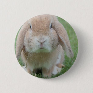 ernstes Foto Button