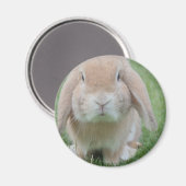 ernstes Foto Magnet (Vorderseite/Rückseite)