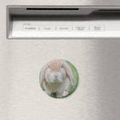 ernstes Foto Magnet (In Situ (Geschirrspüler))