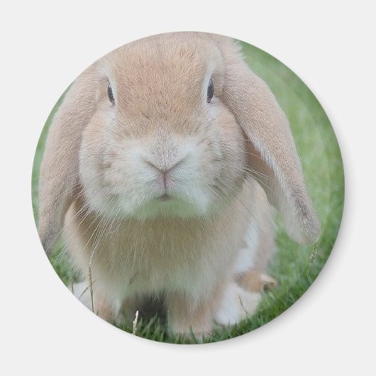 ernstes Foto Magnet (Vorne)