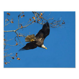 Ernstes Geschäft Fotodruck