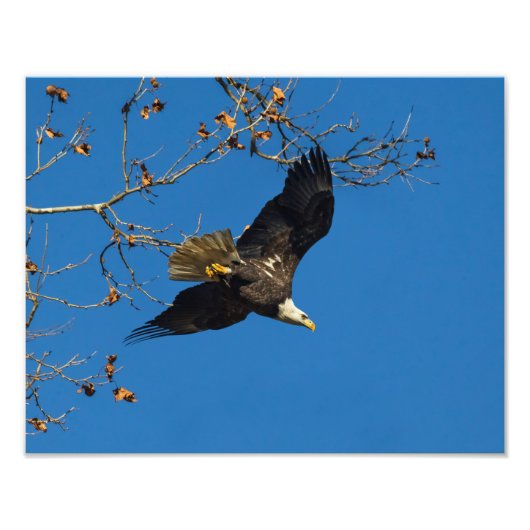 Ernstes Geschäft Fotodruck (Vorne)