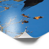 Ernstes Geschäft Fotodruck (Ecke)