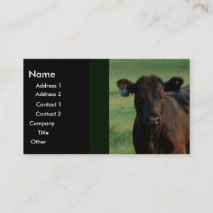 Ernstes Geschäft Visitenkarte