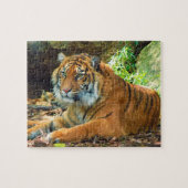Ernstes Tiger-Puzzlespiel Puzzle (Horizontal)