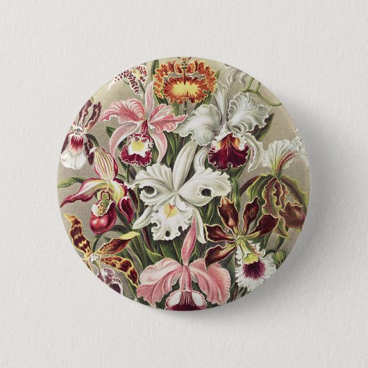 ErnstHaeckel Vintage Botanical Orchid Illustration Button (Vorderseite)