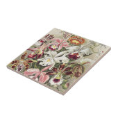 ErnstHaeckel Vintage Botanical Orchid Illustration Fliese (Seite)