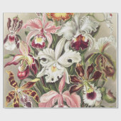 ErnstHaeckel Vintage Botanical Orchid Illustration Geschenkpapier (Flach)