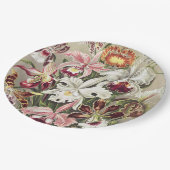 ErnstHaeckel Vintage Botanical Orchid Illustration Pappteller (Schrägansicht)