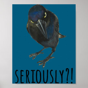 Ernsthaft Mpy Schwarz Grackel Schwarzer Vogel  Poster